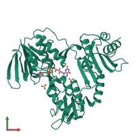 3D model of 1nhp from PDBe