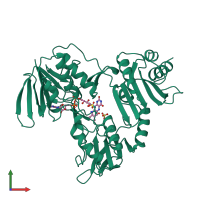 PDB entry 1nhs coloured by chain, front view.