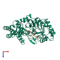 PDB entry 1nht coloured by chain, top view.