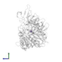MANGANESE (II) ION in PDB entry 1nhx, assembly 1, side view.
