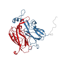 The deposited structure of PDB entry 1nid contains 2 copies of CATH domain 2.60.40.420 (Immunoglobulin-like) in Copper-containing nitrite reductase. Showing 2 copies in chain A.