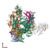 PDB entry 1nik coloured by chain, front view.