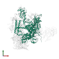 DNA-directed RNA polymerase II subunit RPB1 in PDB entry 1nik, assembly 1, front view.