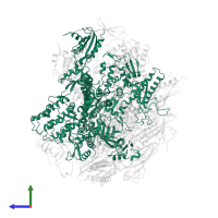 DNA-directed RNA polymerase II subunit RPB1 in PDB entry 1nik, assembly 1, side view.