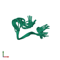 PDB entry 1nim coloured by chain, ensemble of 25 models, front view.