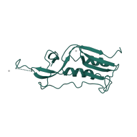 The deposited structure of PDB entry 1nji contains 1 copy of SCOP domain 54687 (Ribosomal protein L10e) in Large ribosomal subunit protein uL16. Showing 1 copy in chain J.