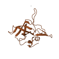 The deposited structure of PDB entry 1nji contains 1 copy of SCOP domain 50194 (Ribosomal protein L14) in Large ribosomal subunit protein uL14. Showing 1 copy in chain L.