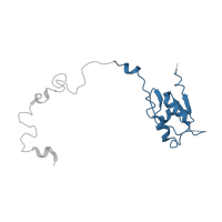 The deposited structure of PDB entry 1nji contains 1 copy of CATH domain 3.100.10.10 (Ribosomal Protein L15; Chain: K; domain 2) in Large ribosomal subunit protein uL15. Showing 1 copy in chain M.