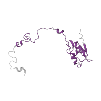 The deposited structure of PDB entry 1nji contains 1 copy of Pfam domain PF00828 (Ribosomal proteins 50S-L15, 50S-L18e, 60S-L27A) in Large ribosomal subunit protein uL15. Showing 1 copy in chain M.