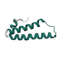 The deposited structure of PDB entry 1nji contains 1 copy of Pfam domain PF00831 (Ribosomal L29 protein) in Large ribosomal subunit protein uL29. Showing 1 copy in chain W.