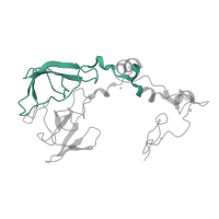 The deposited structure of PDB entry 1nji contains 1 copy of Pfam domain PF00181 (Ribosomal Proteins L2, RNA binding domain) in Large ribosomal subunit protein uL2. Showing 1 copy in chain C.