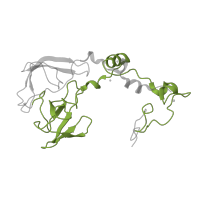 The deposited structure of PDB entry 1nji contains 1 copy of Pfam domain PF03947 (Ribosomal Proteins L2, C-terminal domain) in Large ribosomal subunit protein uL2. Showing 1 copy in chain C.