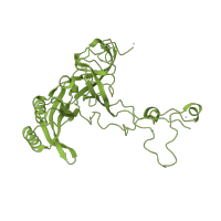 The deposited structure of PDB entry 1nji contains 1 copy of SCOP domain 50461 (Ribosomal protein L3) in Large ribosomal subunit protein uL3. Showing 1 copy in chain D.