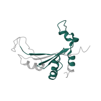 The deposited structure of PDB entry 1nji contains 1 copy of Pfam domain PF00673 (ribosomal L5P family C-terminus) in Large ribosomal subunit protein uL5. Showing 1 copy in chain F.