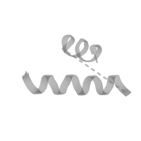 The deposited structure of PDB entry 1nji contains 1 copy of Pfam domain PF17777 (Insertion domain in 60S ribosomal protein L10P) in Large ribosomal subunit protein uL10. Showing 1 copy in chain I (this domain is out of the observed residue ranges!).