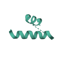 The deposited structure of PDB entry 1nji contains 1 copy of SCOP domain 64660 (Ribosomal protein L10) in Large ribosomal subunit protein uL10. Showing 1 copy in chain I.