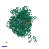 Hetero tetrameric assembly 1 of PDB entry 1njm coloured by chemically distinct molecules, side view.