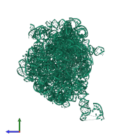 23S ribosomal RNA in PDB entry 1njm, assembly 1, side view.
