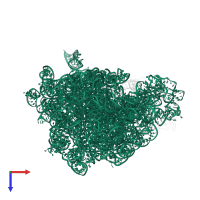 23S ribosomal RNA in PDB entry 1njm, assembly 1, top view.