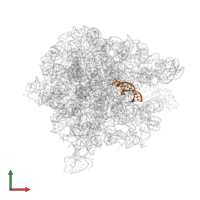 tRNA acceptor stem mimic in PDB entry 1njm, assembly 1, front view.