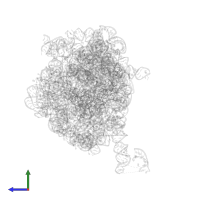 Large ribosomal subunit protein bL25 in PDB entry 1njm, assembly 1, side view.