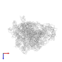 Large ribosomal subunit protein bL25 in PDB entry 1njm, assembly 1, top view.