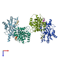 PDB entry 1njt coloured by chain, top view.