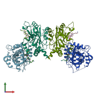 PDB entry 1nju coloured by chain, front view.