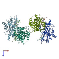 PDB entry 1nju coloured by chain, top view.