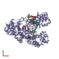 PDB entry 1njx coloured by chain, front view.