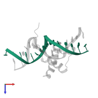 DNA (5'-D(*TP*GP*TP*GP*TP*CP*AP*AP*GP*TP*GP*GP*CP*TP*GP*T)-3') in PDB entry 1nk3, assembly 1, top view.