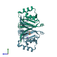 PDB entry 1nki coloured by chain, side view.