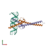 Hetero tetrameric assembly 2 of PDB entry 1nkp coloured by chemically distinct molecules, front view.