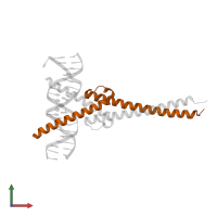 Myc proto-oncogene protein in PDB entry 1nkp, assembly 1, front view.