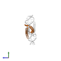 Myc proto-oncogene protein in PDB entry 1nkp, assembly 1, side view.