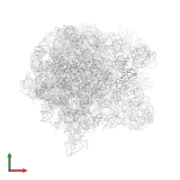 Large ribosomal subunit protein uL16 in PDB entry 1nkw, assembly 1, front view.