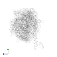 Large ribosomal subunit protein uL16 in PDB entry 1nkw, assembly 1, side view.