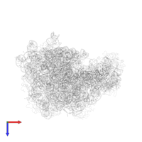 Large ribosomal subunit protein uL16 in PDB entry 1nkw, assembly 1, top view.