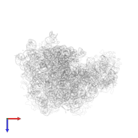 Large ribosomal subunit protein bL19 in PDB entry 1nkw, assembly 1, top view.