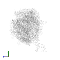 Large ribosomal subunit protein bL20 in PDB entry 1nkw, assembly 1, side view.