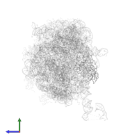 Large ribosomal subunit protein uL2 in PDB entry 1nkw, assembly 1, side view.