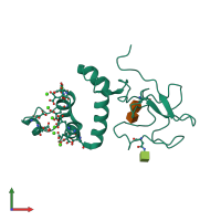PDB entry 1nl1 coloured by chain, front view.