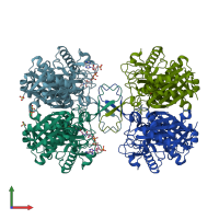 PDB entry 1nl7 coloured by chain, front view.