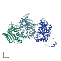 PDB entry 1nlf coloured by chain, front view.