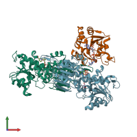 PDB entry 1nm5 coloured by chain, front view.