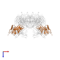 FAB NC10 in PDB entry 1nma, assembly 1, top view.