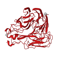 The deposited structure of PDB entry 1nmb contains 1 copy of CATH domain 2.120.10.10 (Neuraminidase) in Neuraminidase. Showing 1 copy in chain A [auth N].