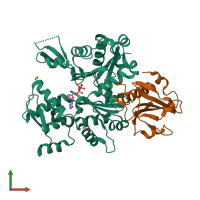 PDB entry 1nmd coloured by chain, front view.