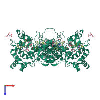 Homo dimeric assembly 2 of PDB entry 1nml coloured by chemically distinct molecules, top view.