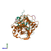 Hetero dimeric assembly 2 of PDB entry 1nmm coloured by chemically distinct molecules, side view.